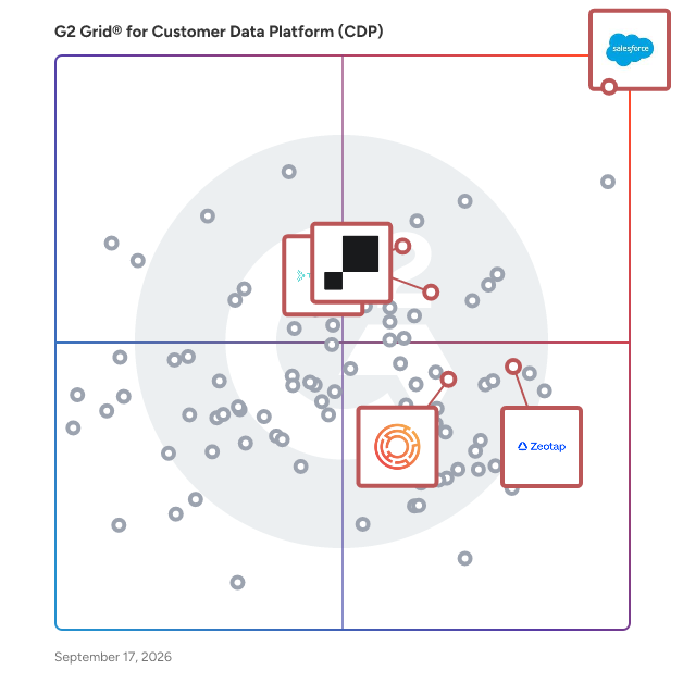 G2 Grid® for Identity Resolution in Customer Data Platforms (CDP), highlighting the products that define this theme