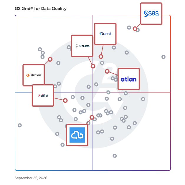G2 Grid® for Data Governance in Data Quality Tools, highlighting the products that define this theme