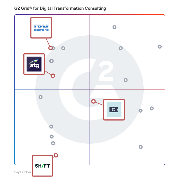 G2 Grid® for Salesforce Consulting Services in Digital Transformation Consulting Providers, highlighting the products that define this theme