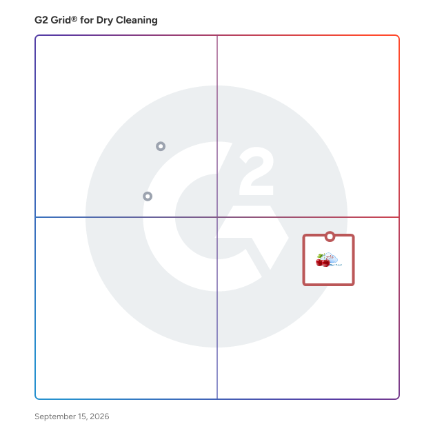 G2 Grid® for Dry Cleaning Software plotting products by satisfaction and market presence