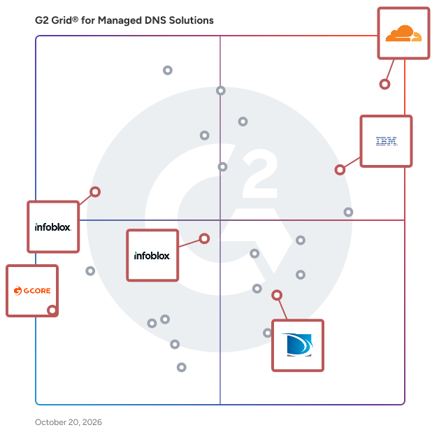 G2 Grid® for DNS Security in Managed DNS Solutions, highlighting the products that define this theme