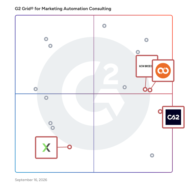 G2 Grid® for AI-Powered Marketing Strategies in Marketing Automation Consulting Providers, highlighting the products that define this theme