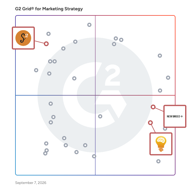 G2 Grid® for Website Design in Marketing Strategy Agencies, highlighting the products that define this theme