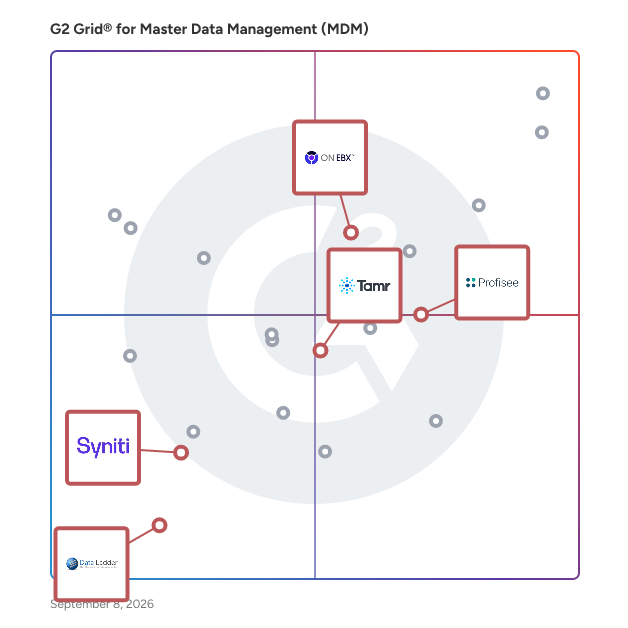 G2 Grid® for Data Cleansing and Quality in Master Data Management (MDM) Tools, highlighting the products that define this theme