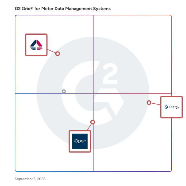 G2 Grid® for AI-Driven Insights in Meter Data Management Systems, highlighting the products that define this theme