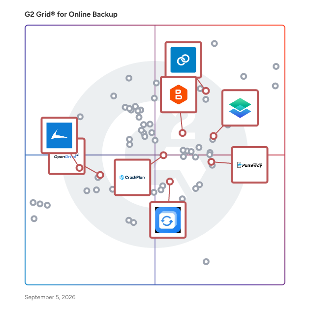 G2 Grid® for PC Backup in Online Backup Software, highlighting the products that define this theme