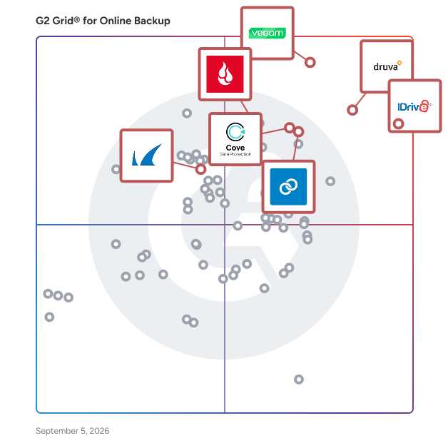G2 Grid® for Disaster Recovery in Online Backup Software, highlighting the products that define this theme