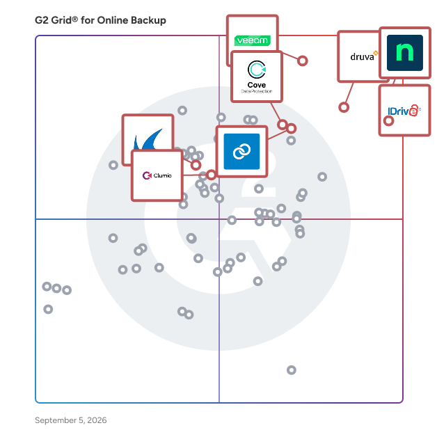 G2 Grid® for Server Backup in Online Backup Software, highlighting the products that define this theme