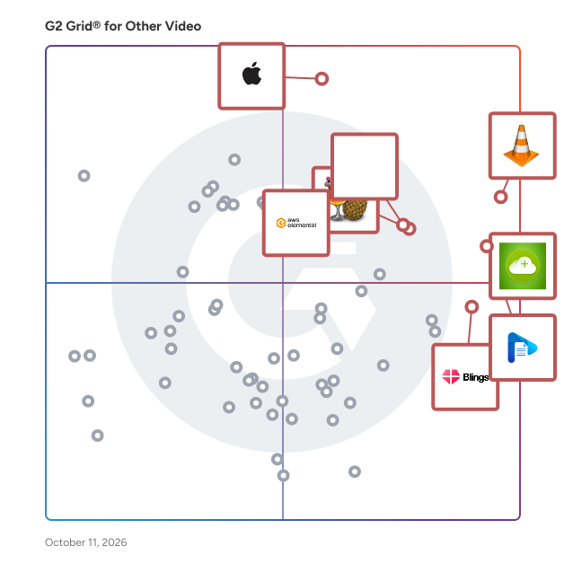 G2 Grid® for Other Video Software plotting products by satisfaction and market presence