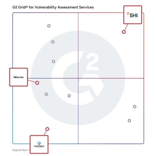 G2 Grid® for Network Security Services in Vulnerability Assessment Services Providers, highlighting the products that define this theme
